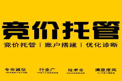 搜索引擎营销（SEM）竞价策略案例